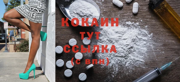 твердый Аркадак