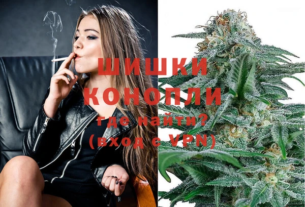 бошки Арсеньев