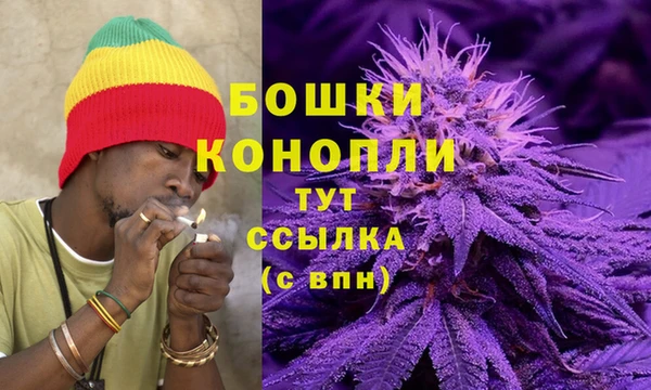 бошки Арсеньев